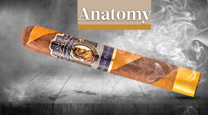 WhatsApp Image 2025-07-18 at 15.58.13