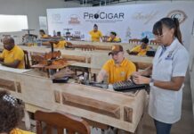 Francisca Paola Paulino, Infotep Facilitator, Work as a Hobby