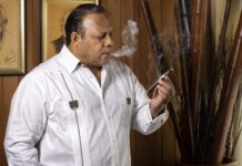 The Invisible Journey: From Plant to Ashtray