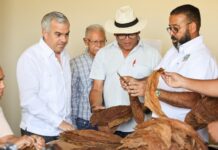 Intabaco Backs Promotion of Local Tobacco Through SDE Cigar Fest