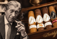 Zino and the Dominican Cigar
