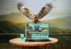 Royal Falcon Takes Flight in Europe with Kopp Tobaccos