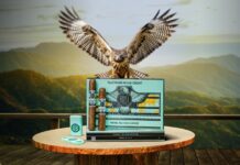 Royal Falcon Takes Flight in Europe with Kopp Tobaccos